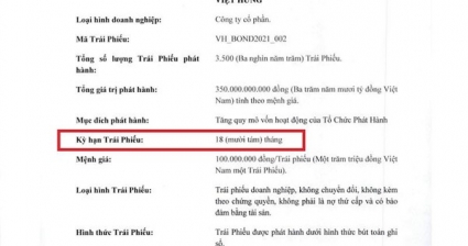 Nhà đầu tư nghi ngờ về tài sản đảm bảo lô trái phiếu 350 tỷ của Việt Hưng