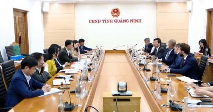 BP và SOVICO muốn cùng làm điện gió ngoài khơi tại Quảng Ninh