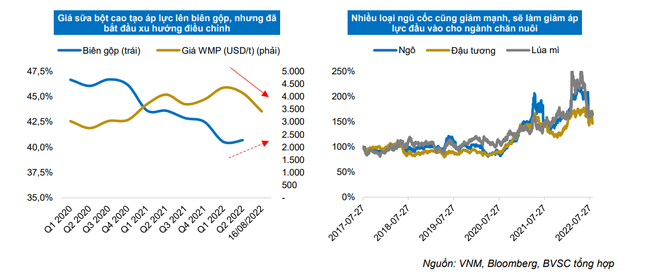 VNM ph&aacute;t huy vai tr&ograve; trụ cột trong 2 tuần vừa qua ảnh 3
