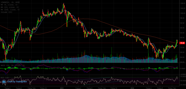 VNM ph&aacute;t huy vai tr&ograve; trụ cột trong 2 tuần vừa qua ảnh 1