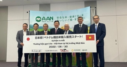 Gạo ST25 Việt Nam vào thực đơn Văn phòng Nội các Nhật Bản, giá đắt hơn gạo Thái Lan và đối tác đề nghị nhập nhiều thêm