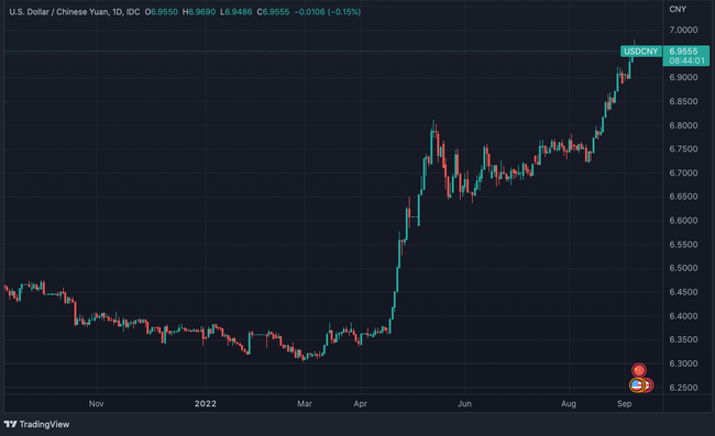 Nh&acirc;n d&acirc;n tệ giảm gi&aacute;: Việt Nam, thiệt hơn v&agrave; ứng xử ảnh 1