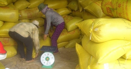 Giá lúa gạo bắt đầu tăng sau &quot;sự kiện Ấn Độ&quot;