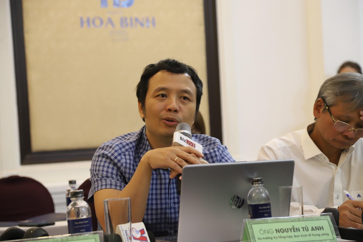 TS. Nguyễn T&uacute; Anh, Vụ trưởng Vụ Tổng hợp, Ban Kinh tế Trung ương.