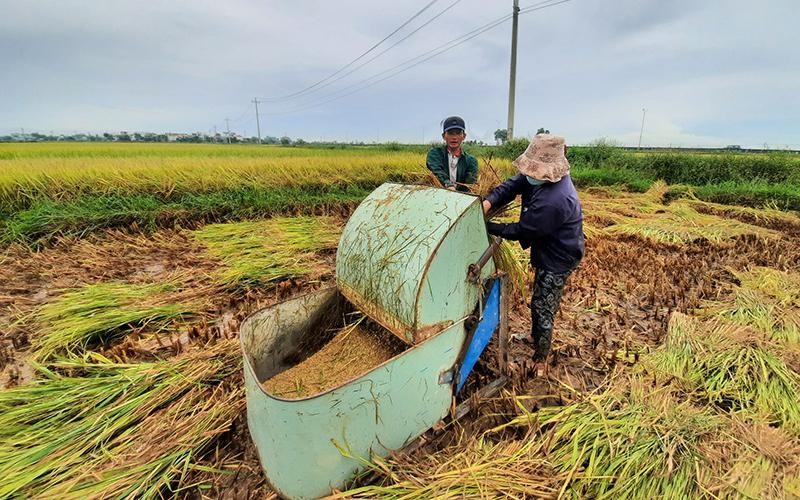 Ảnh minh họa/B&aacute;o Nh&acirc;n d&acirc;n