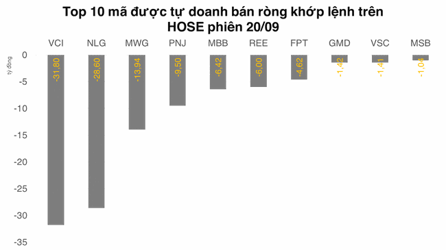 Tự doanh trở lại b&aacute;n r&ograve;ng nhẹ hơn 9 tỷ đồng tr&ecirc;n HOSE ảnh 2