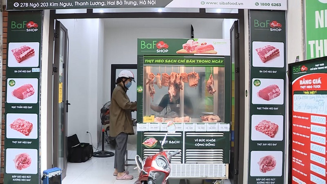 BaF ngắm mục tiêu thiết lập hệ thống trang trại nuôi heo lớn nhất tại Việt Nam ảnh 2