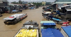 Giá lúa gạo tăng sau khi Ấn Độ cấm xuất khẩu gạo