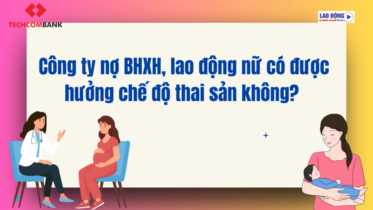 https://nhipsongdoanhnghiep.laodongdoanthe.vn/stores/video_data/2024/102024/21/11/lao-dong-nu20241021112011.jpg