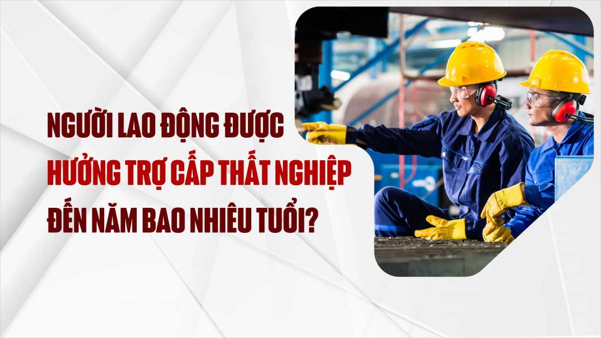 https://nhipsongdoanhnghiep.laodongdoanthe.vn/stores/video_data/2024/122024/03/09/nguoi-lao-dong-duoc-huong-tro-cap-that-nghiep-den-nam-bao-nhieu-tuoi20241203092436.png