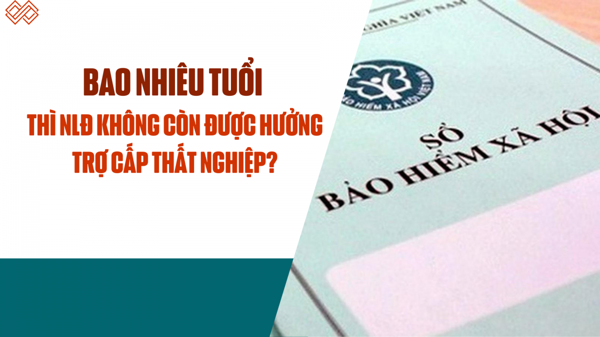 https://nhipsongdoanhnghiep.laodongdoanthe.vn/stores/video_data/2025/032025/19/17/bao-nhieu-tuoi-thi-nld-khong-con-duoc-huong-tro-cap-that-nghiep20250319173914.png